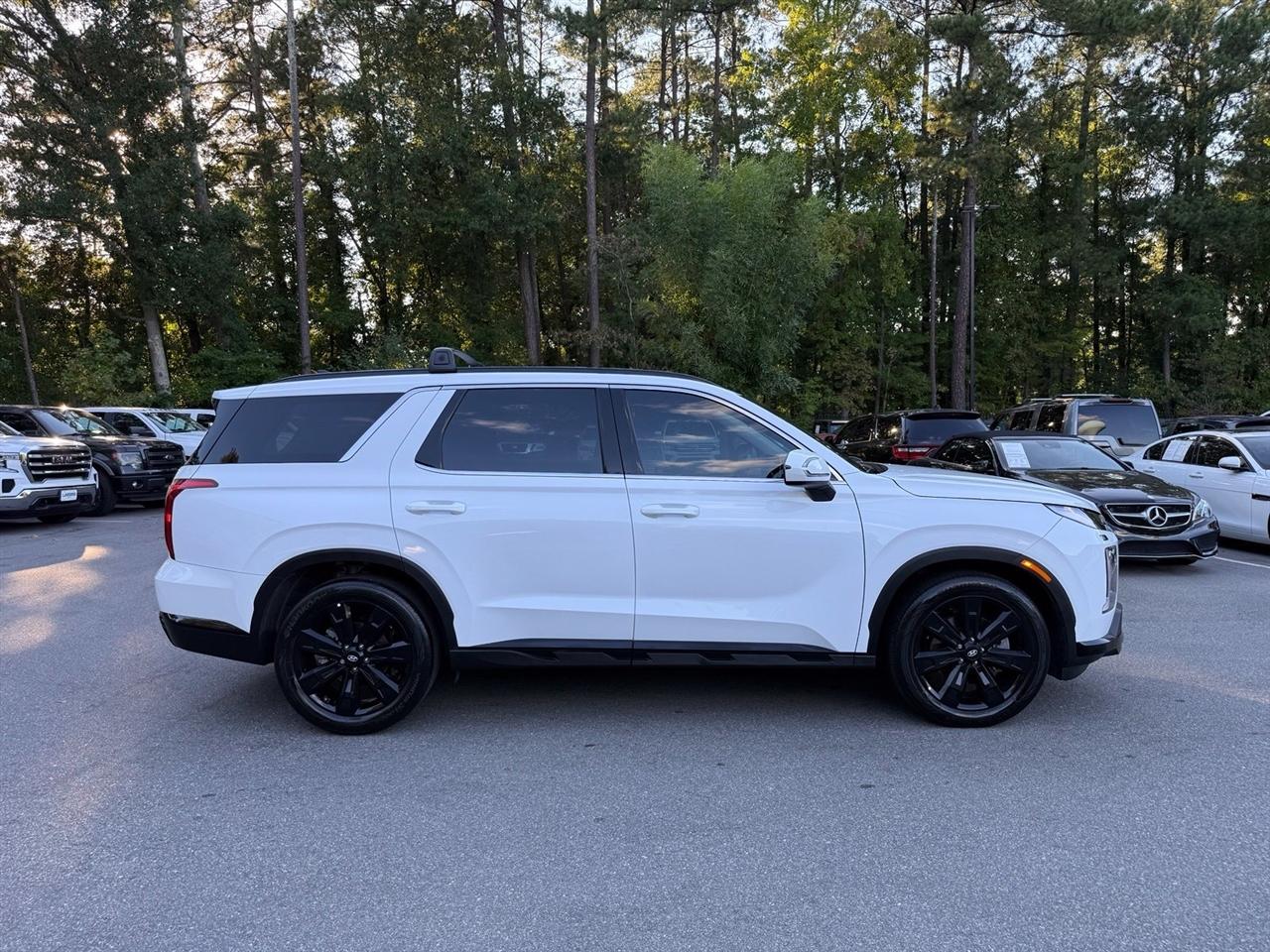 Hyundai Palisade  2024