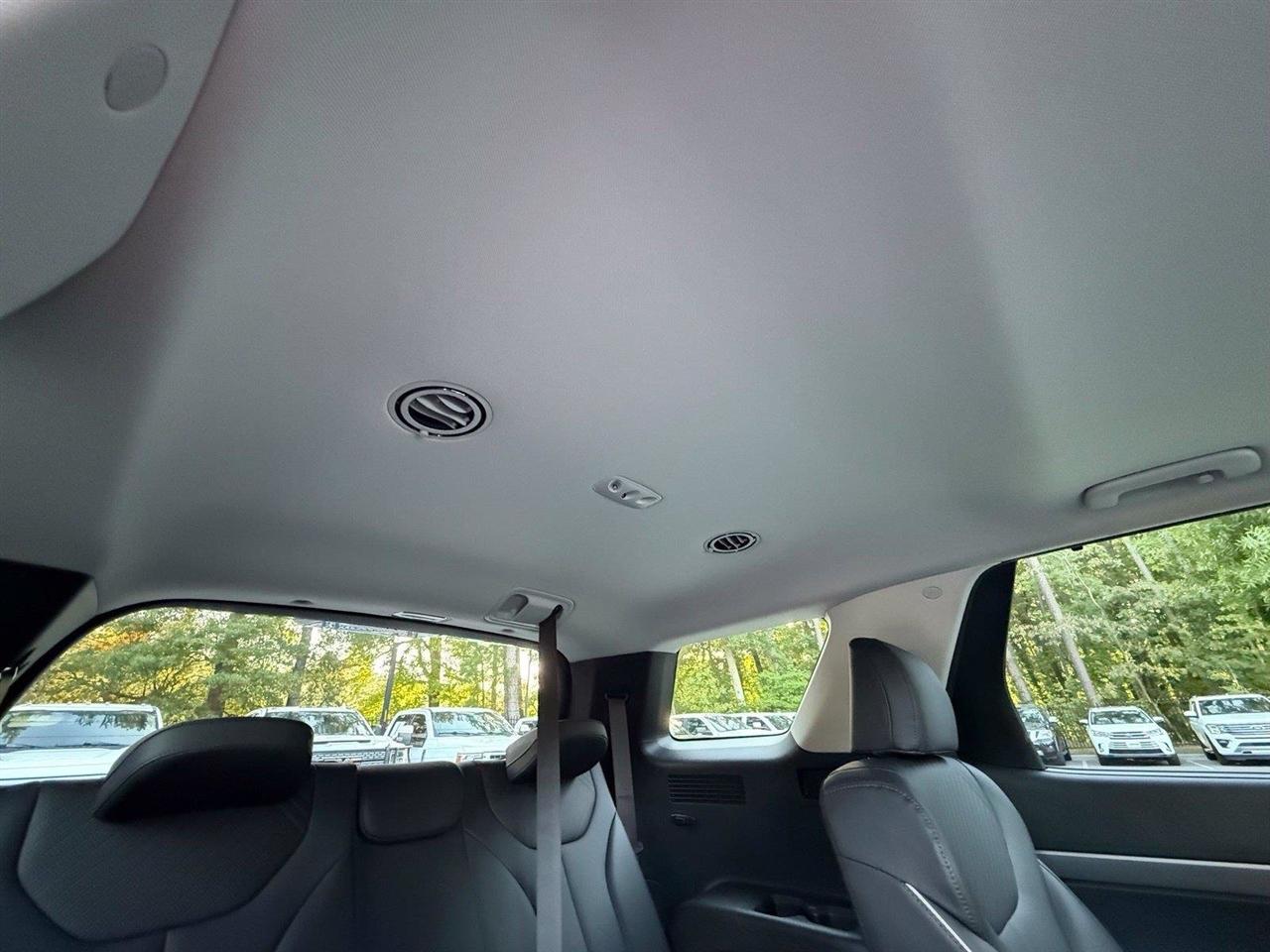 Hyundai Palisade  2024