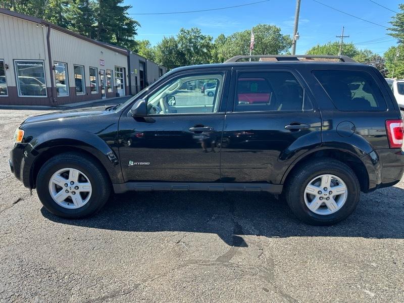 Ford Escape Hybrid  2011