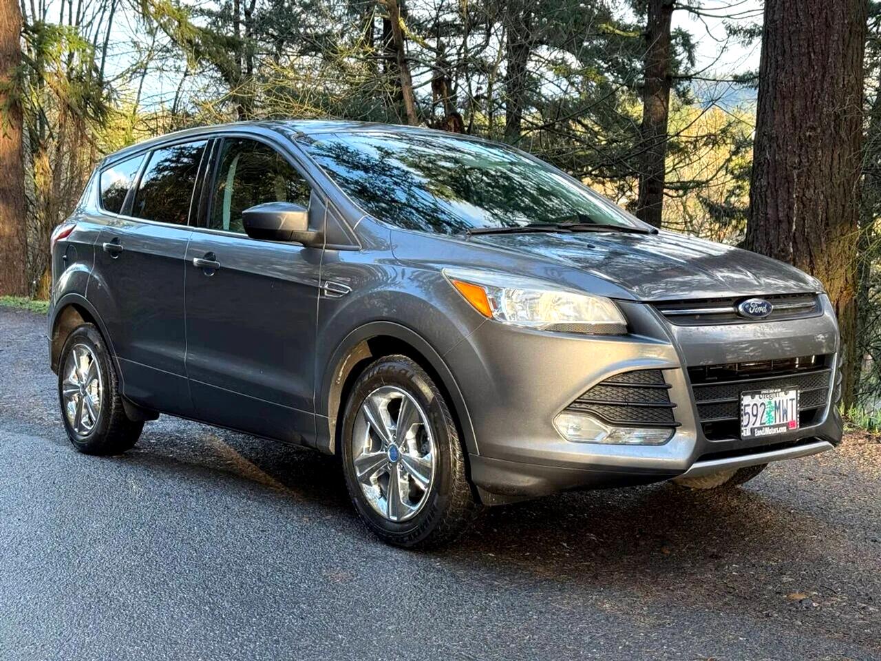 2013 Ford Escape SE 4WD