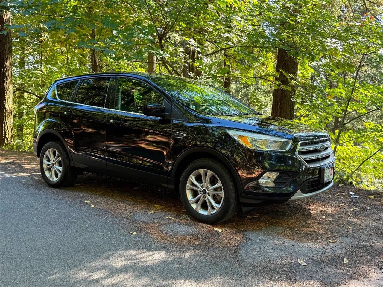 2017 Ford Escape SE 4WD