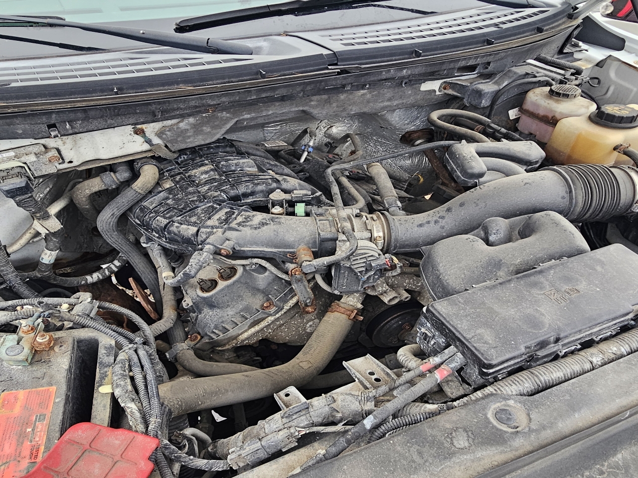 Ford F-150 4WD Reg Cab 126" XL 2013