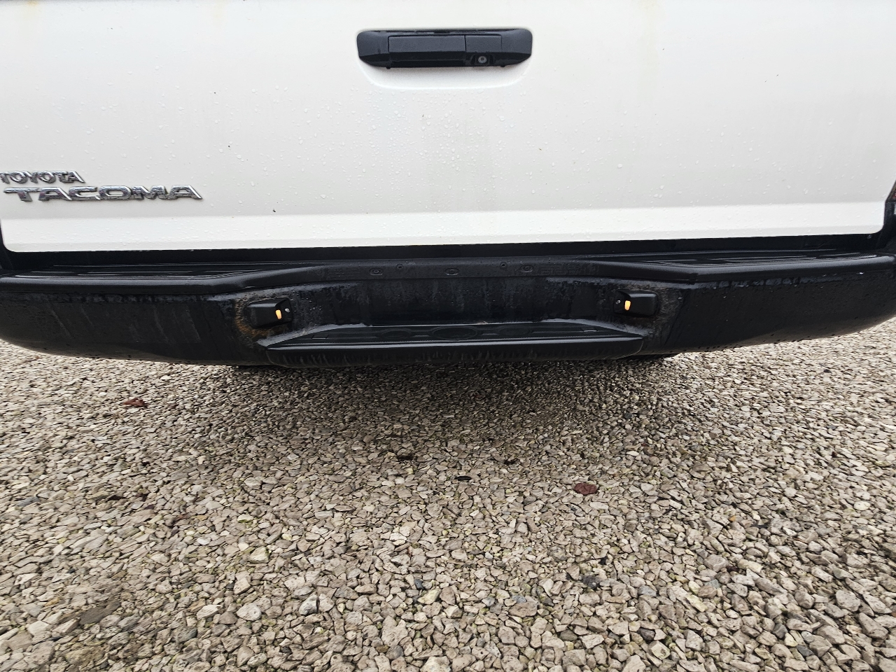 Toyota Tacoma Regular Cab 2WD 2009