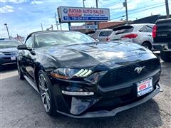 2019 Ford Mustang  2019 Ford Mustang