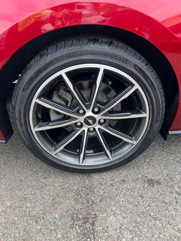 Ford Mustang Eco Premium 2019