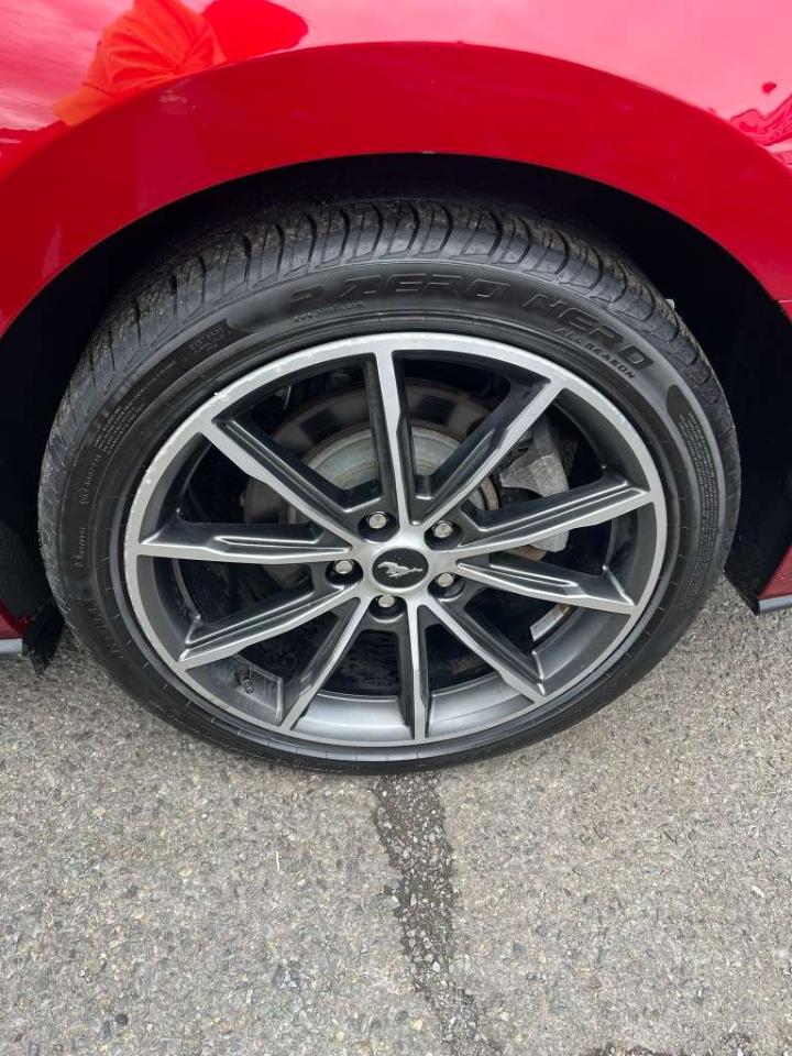 Ford Mustang Eco Premium 2019