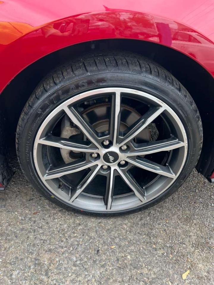 Ford Mustang Eco Premium 2019