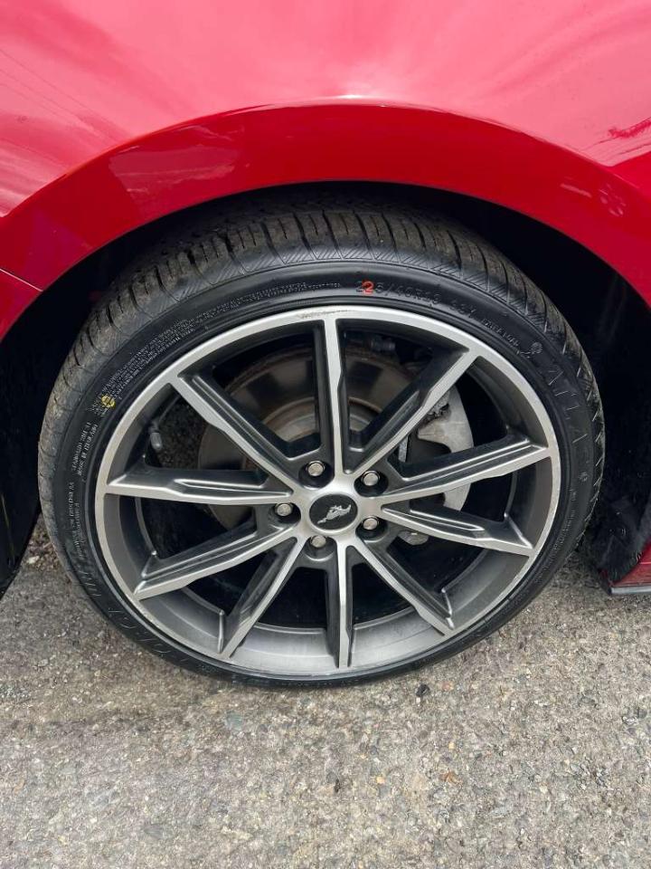 Ford Mustang Eco Premium 2019