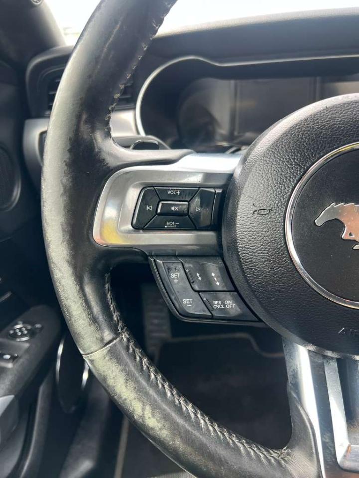 Ford Mustang Eco Premium 2019