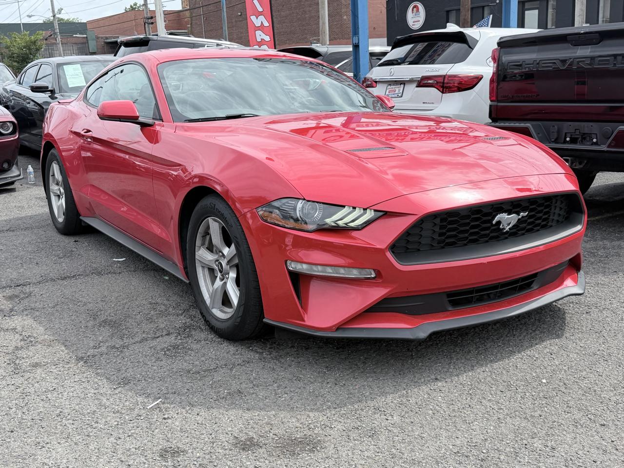 Ford Mustang Fastback  2018