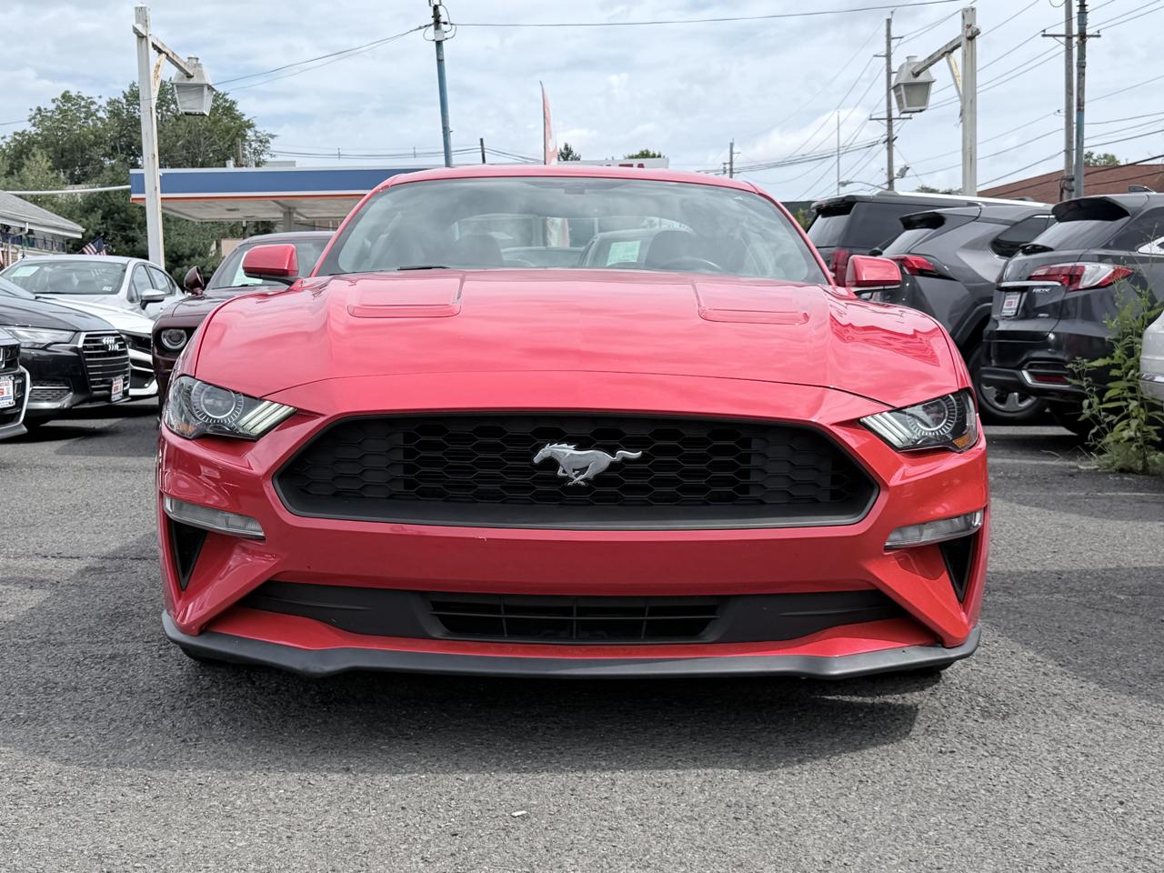 Ford Mustang Fastback  2018