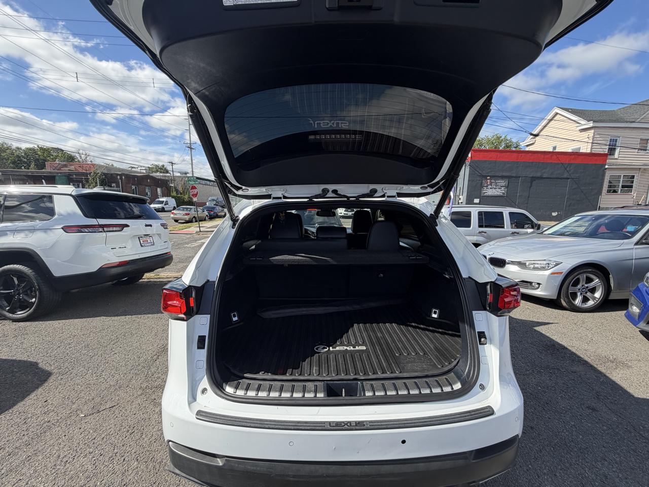 Lexus NX 300 F SPORT AWD 2020