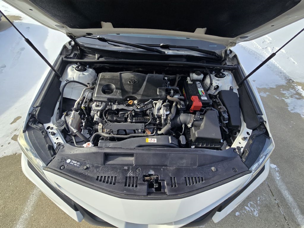 Toyota Camry XLE Auto (Natl) 2019