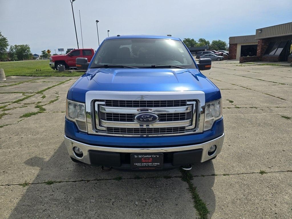 Ford F-150 4WD SuperCrew 145" Platinum 2013