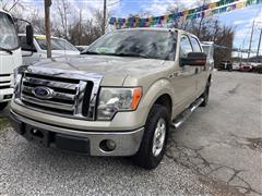 2010 Ford F-150 