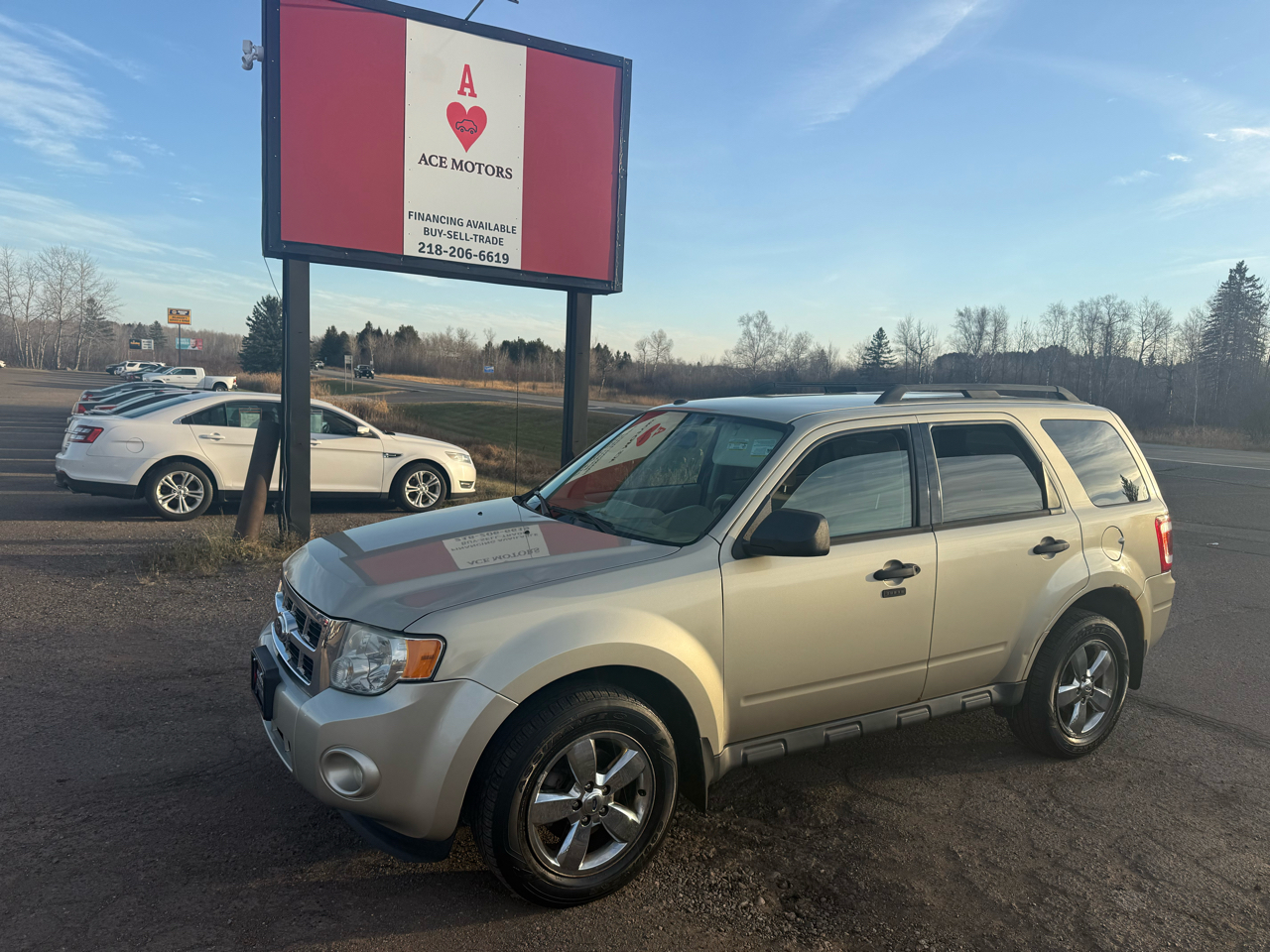2011 Ford Escape XLT