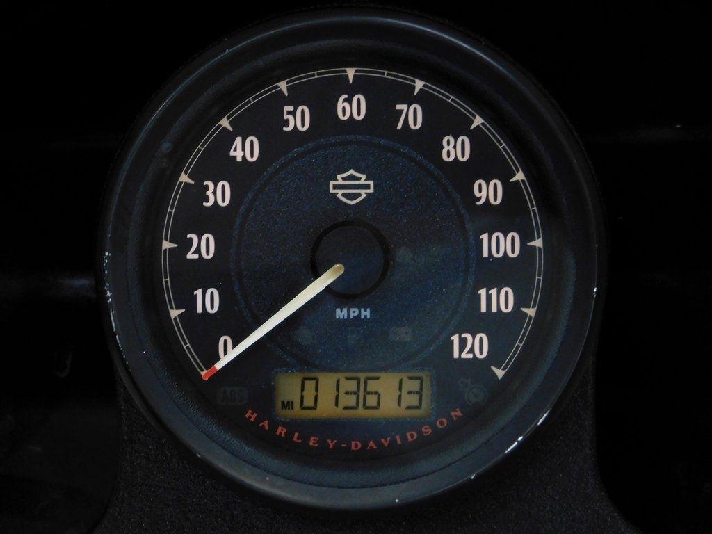 Harley-Davidson XL883N  2015