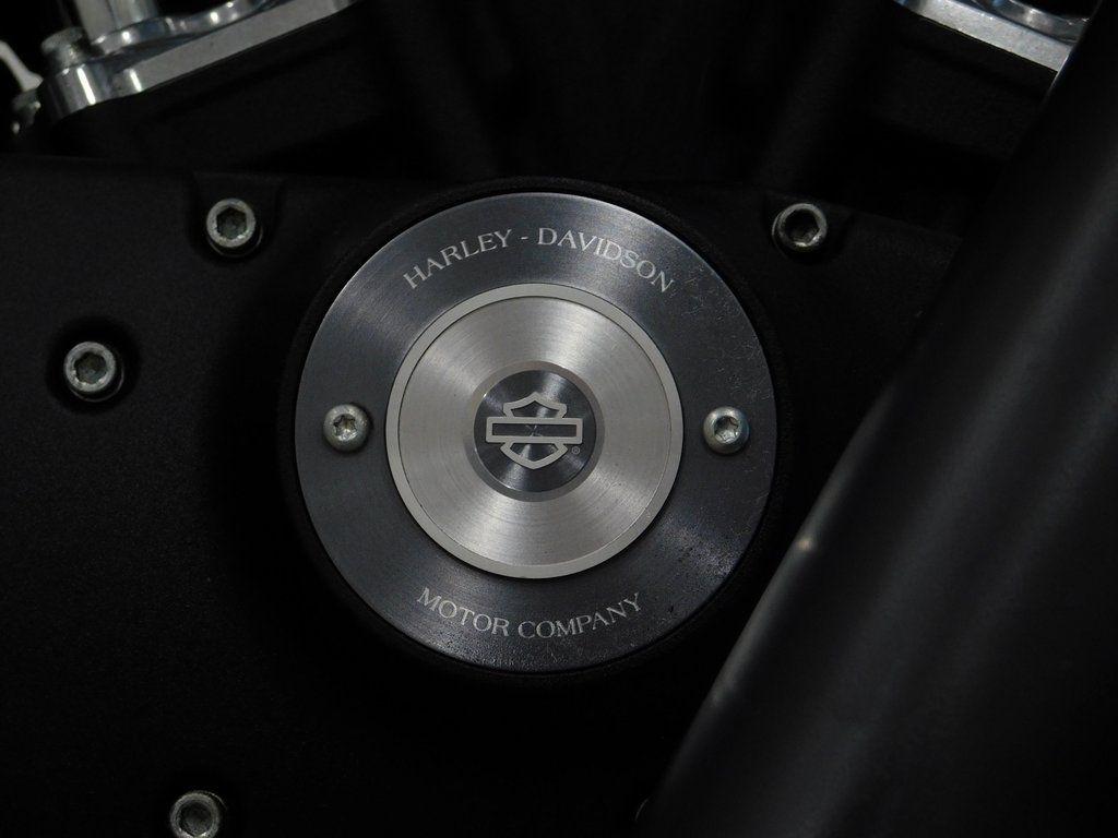 Harley-Davidson XL883N  2015