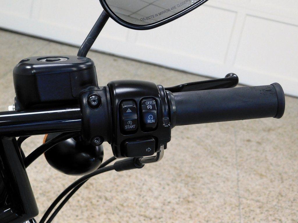 Harley-Davidson XL883N  2015