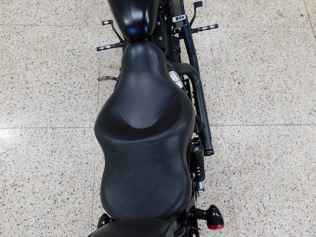 Harley-Davidson XL883N  2015