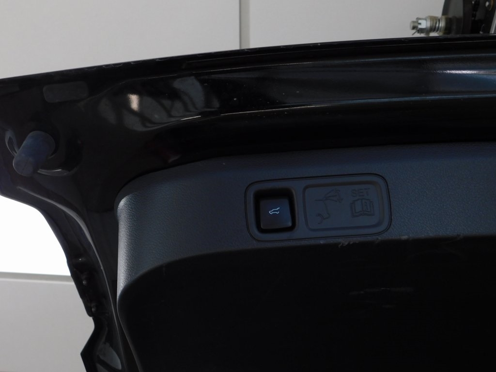 Ford Expedition XLT 4WD 2024