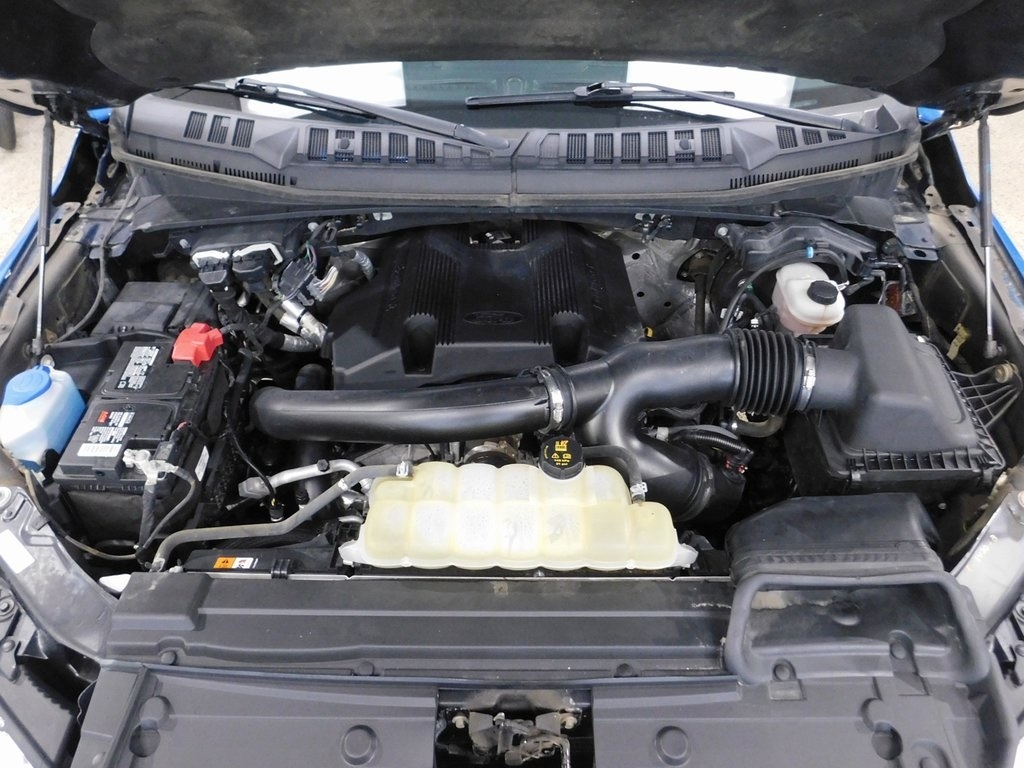 Ford F-150 XLT SuperCrew 6.5-ft. Bed 4WD 2019