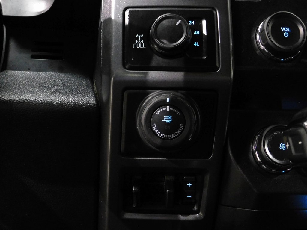 Ford F-150 XLT SuperCrew 6.5-ft. Bed 4WD 2019