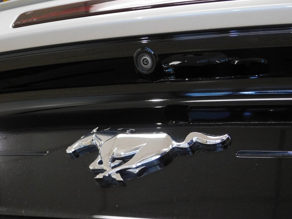 Ford Mustang EcoBoost Premium Convertible 2020