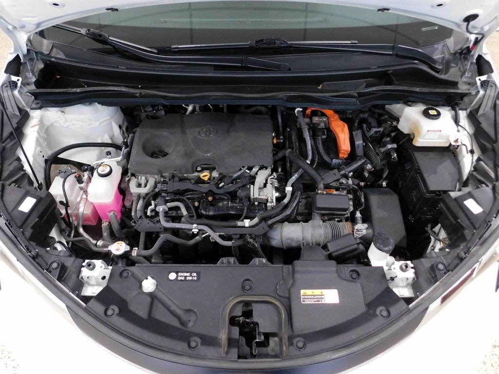 Toyota Sienna Unknown 2021