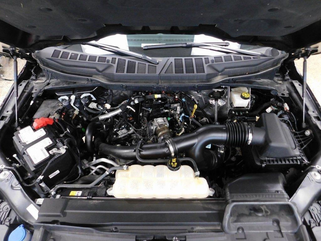 Ford F-150 XLT SuperCrew 5.5-ft. Bed 4WD 2023