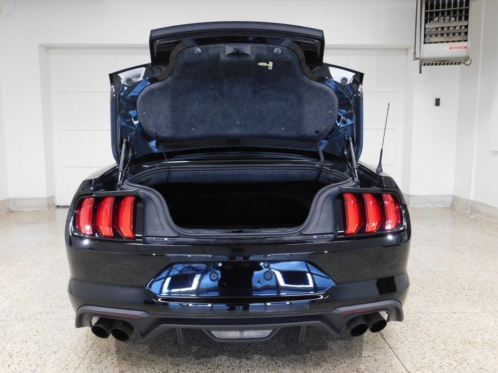 Ford Mustang GT convertible 2019