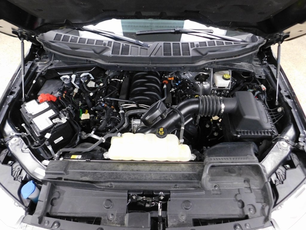 Ford F-150 XLT SuperCrew 5.5-ft. Bed 4WD 2023