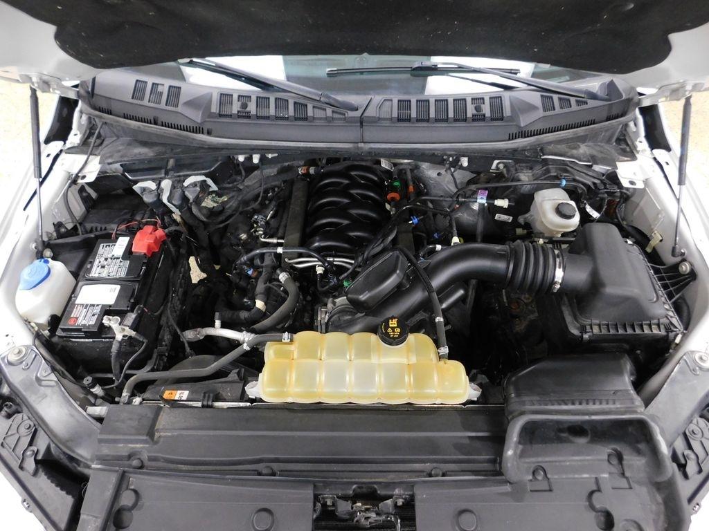 Ford F-150 XLT SuperCrew 6.5-ft. Bed 4WD 2019