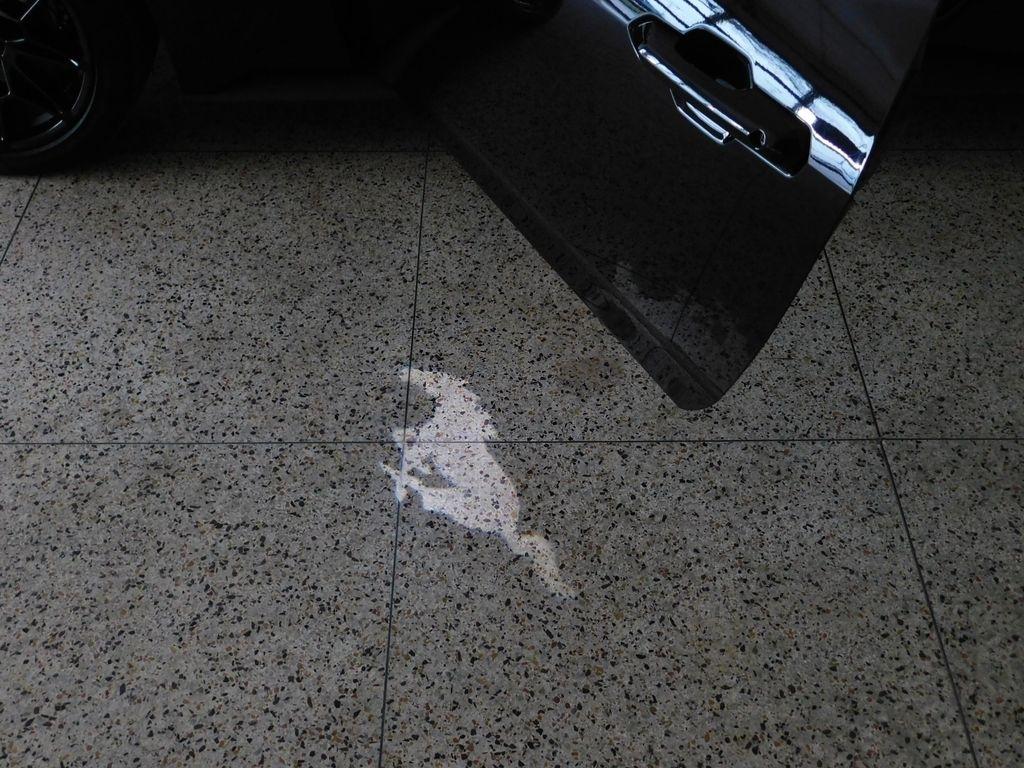 Ford Mustang GT Premium Coupe 2024