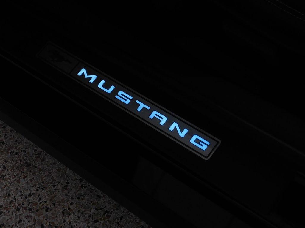 Ford Mustang GT Premium Coupe 2024