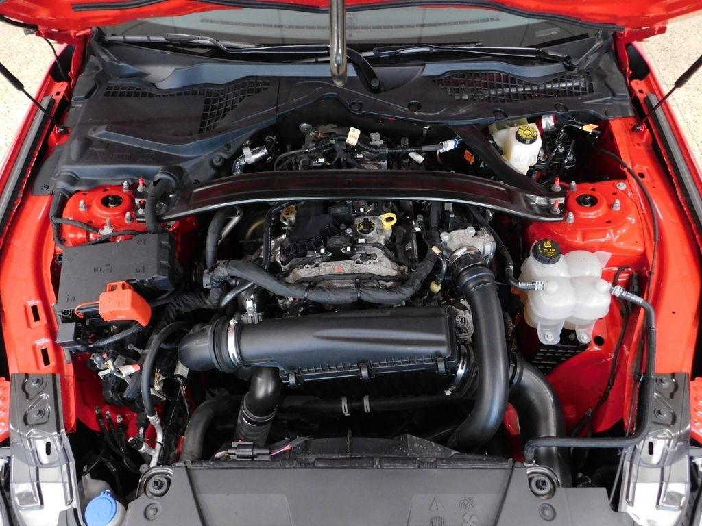Ford Mustang EcoBoost Premium Convertible 2024