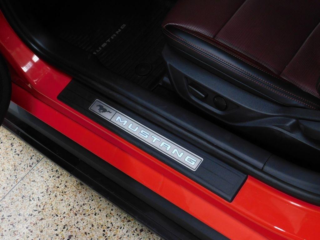Ford Mustang EcoBoost Premium Convertible 2024