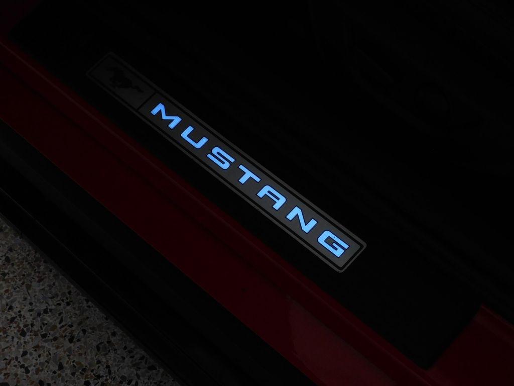 Ford Mustang EcoBoost Premium Convertible 2024