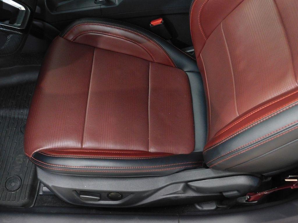 Ford Mustang EcoBoost Premium Convertible 2024