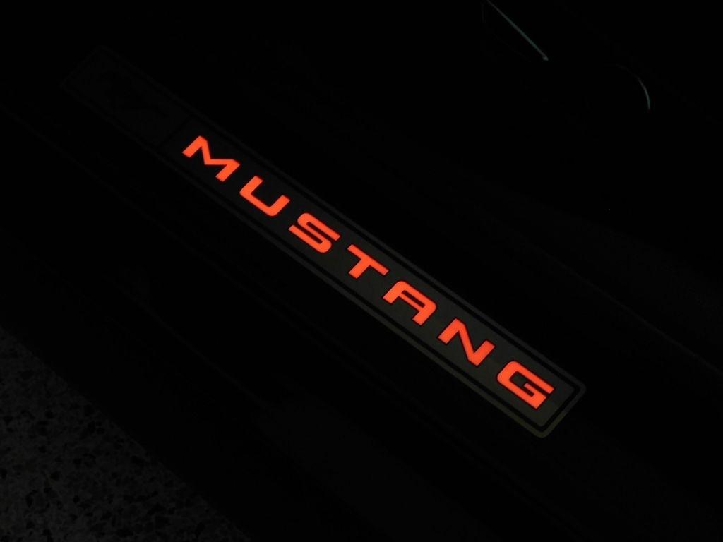 Ford Mustang EcoBoost Premium Coupe 2015