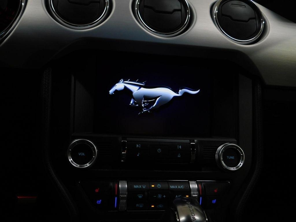 Ford Mustang EcoBoost Premium Coupe 2015