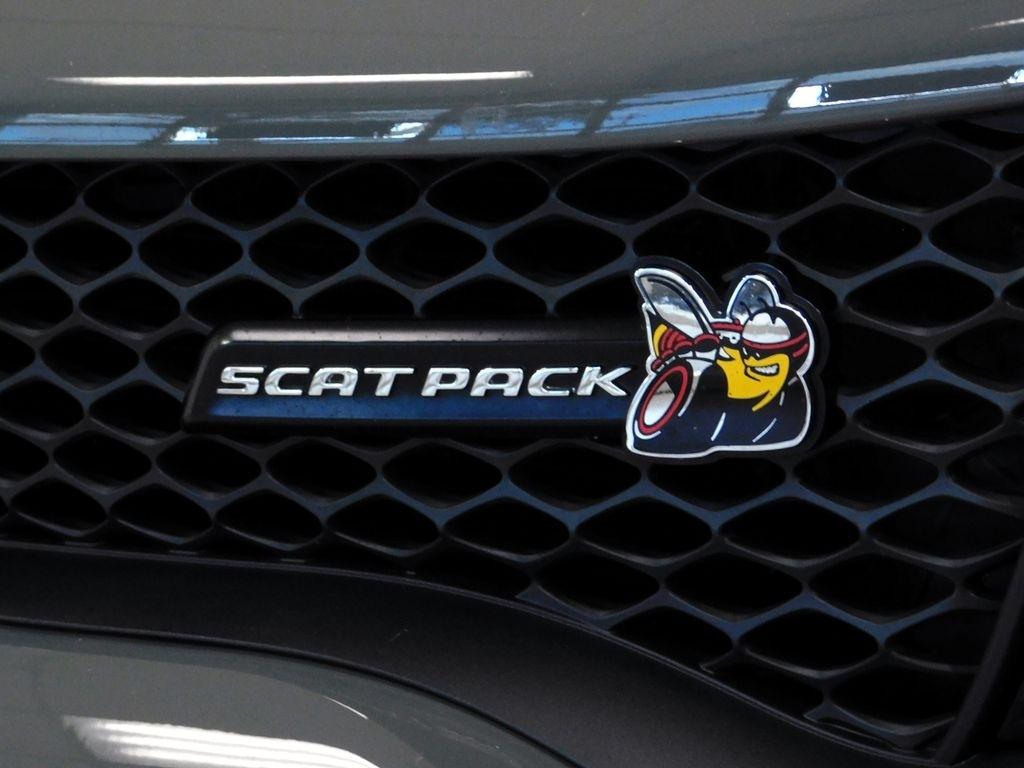 Dodge Charger R/T 392 2018