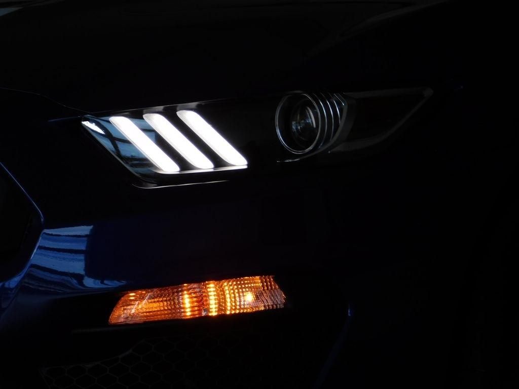 Ford Shelby GT350 Base 2016