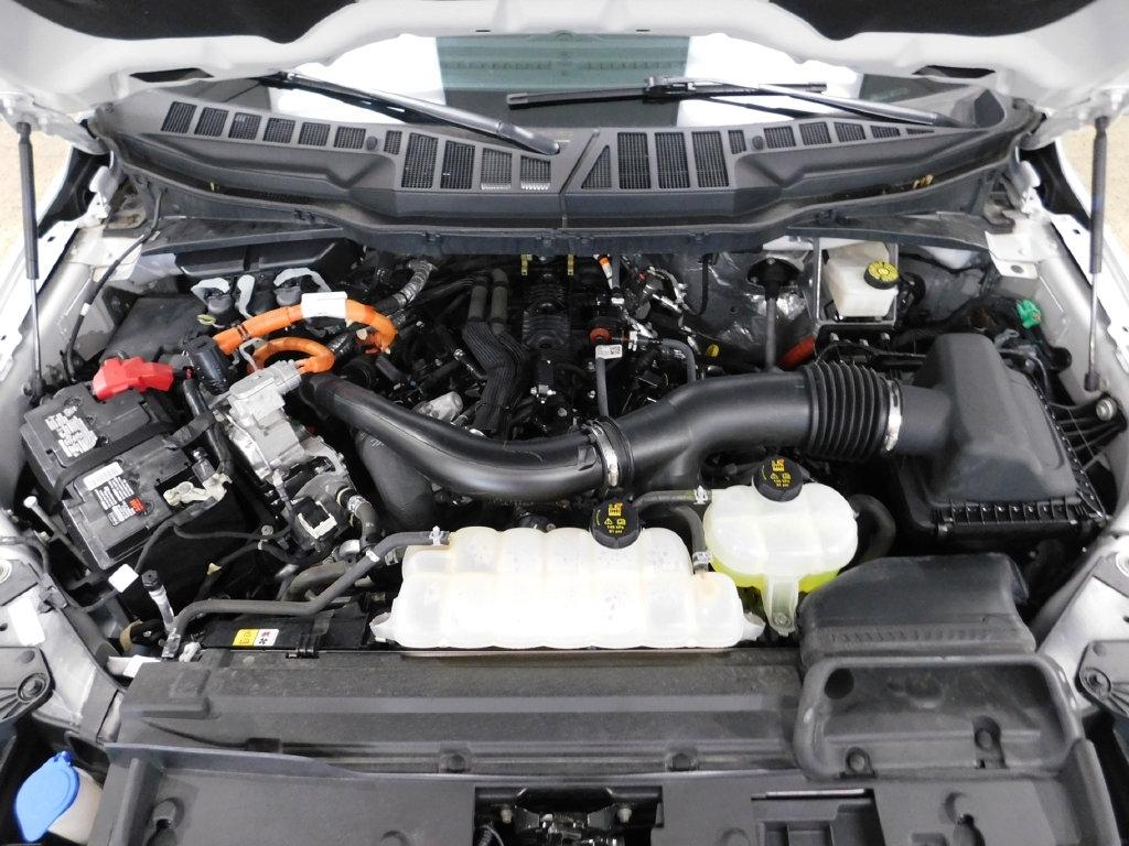 Ford F-150 XLT SuperCrew 4WD 2024