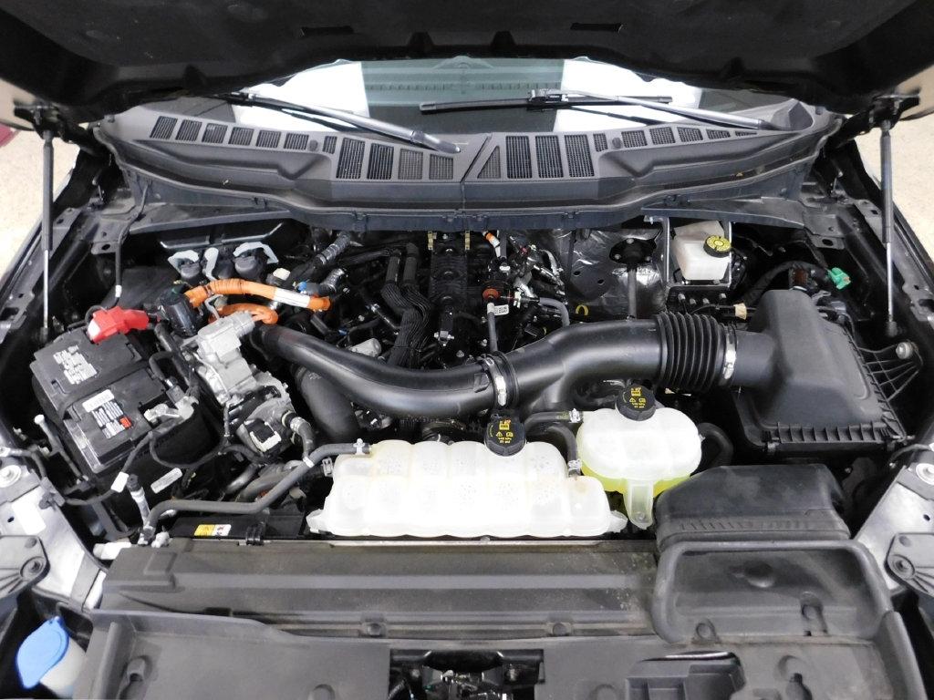 Ford F-150 XLT SuperCrew 4WD 2024
