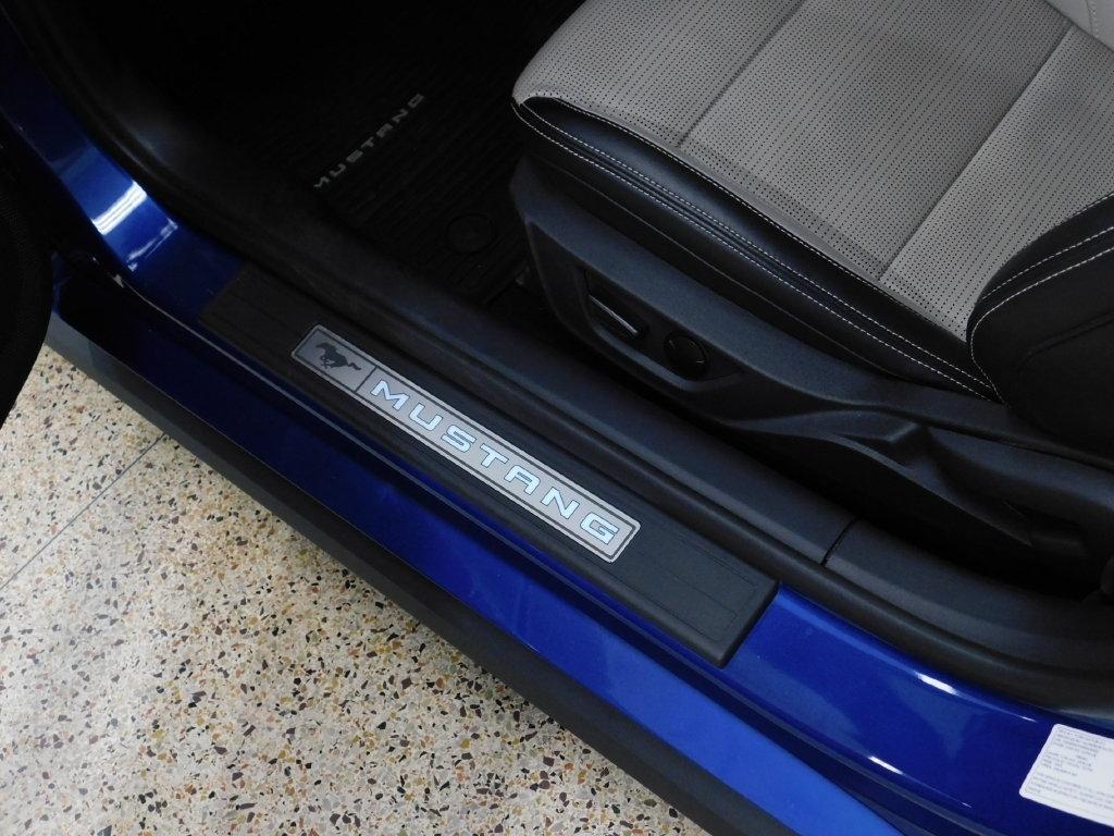 Ford Mustang GT Premium Coupe 2024