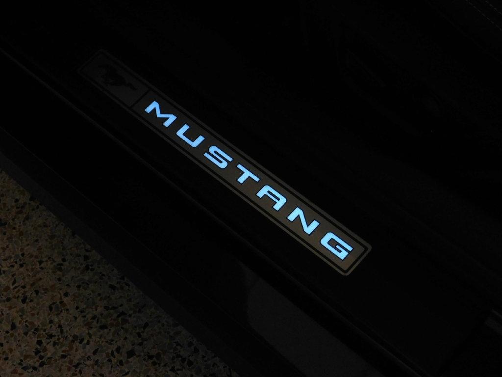 Ford Mustang GT Premium Coupe 2024