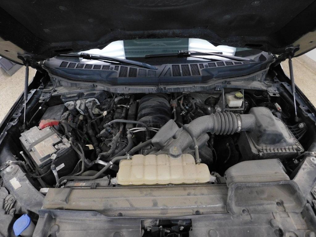 Ford F-150 XLT SuperCrew 5.5-ft. Bed 4WD 2022