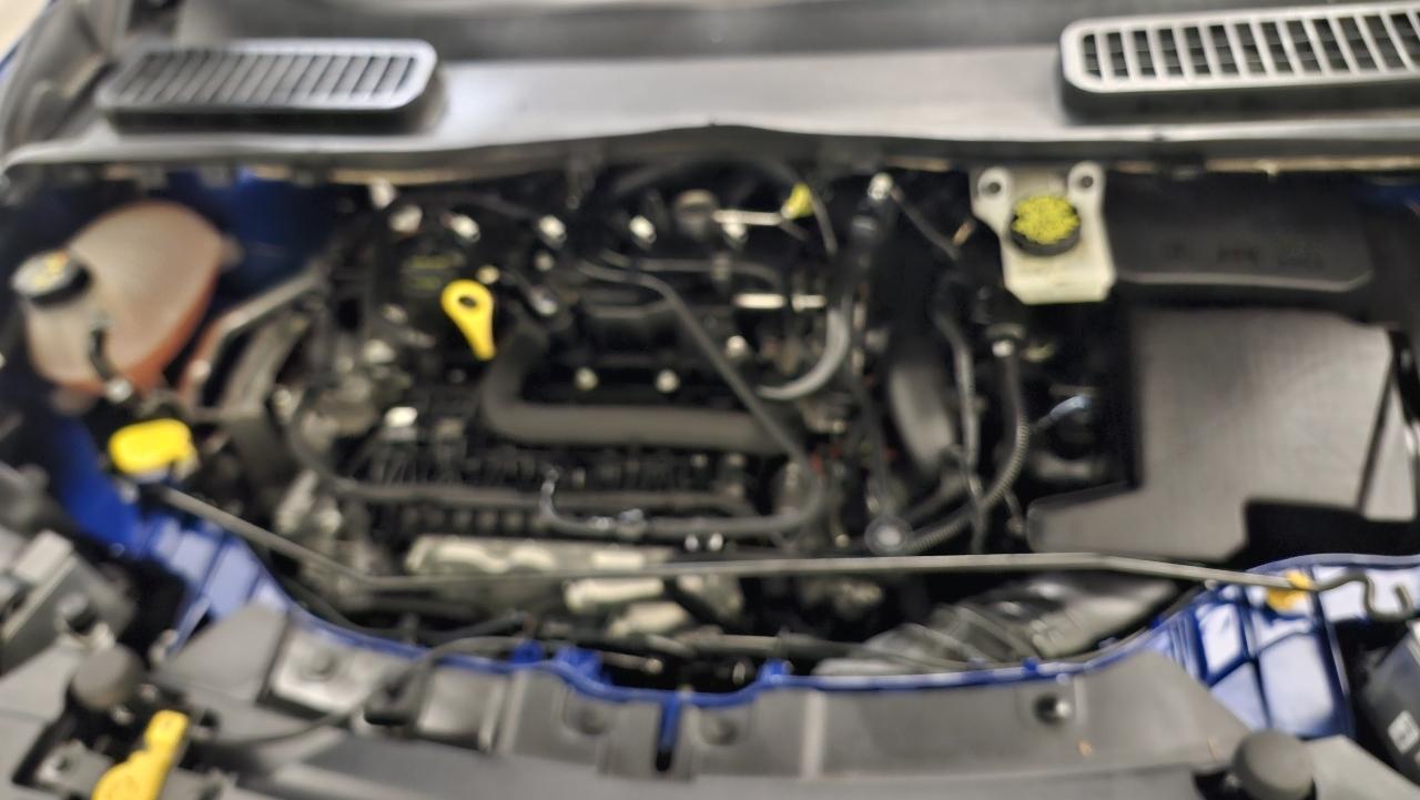 Ford Escape SEL 4WD 2019