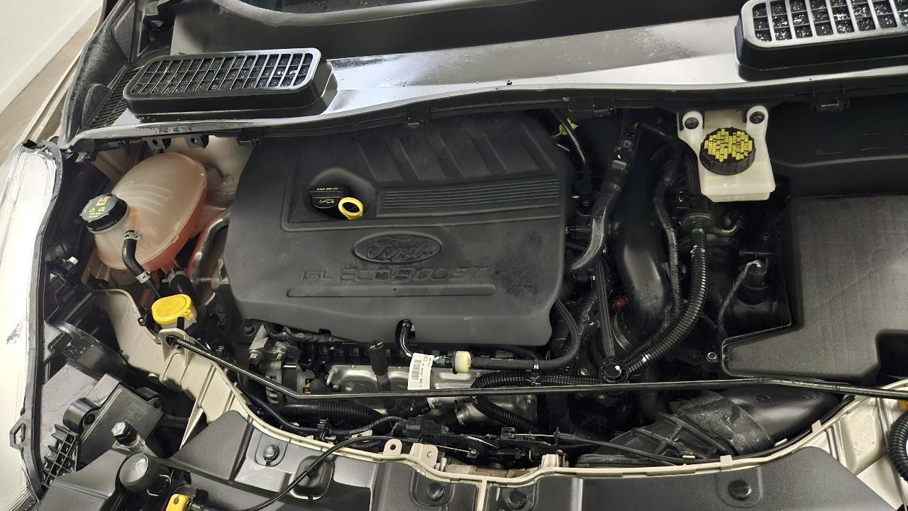 Ford Escape SE 4WD 2017